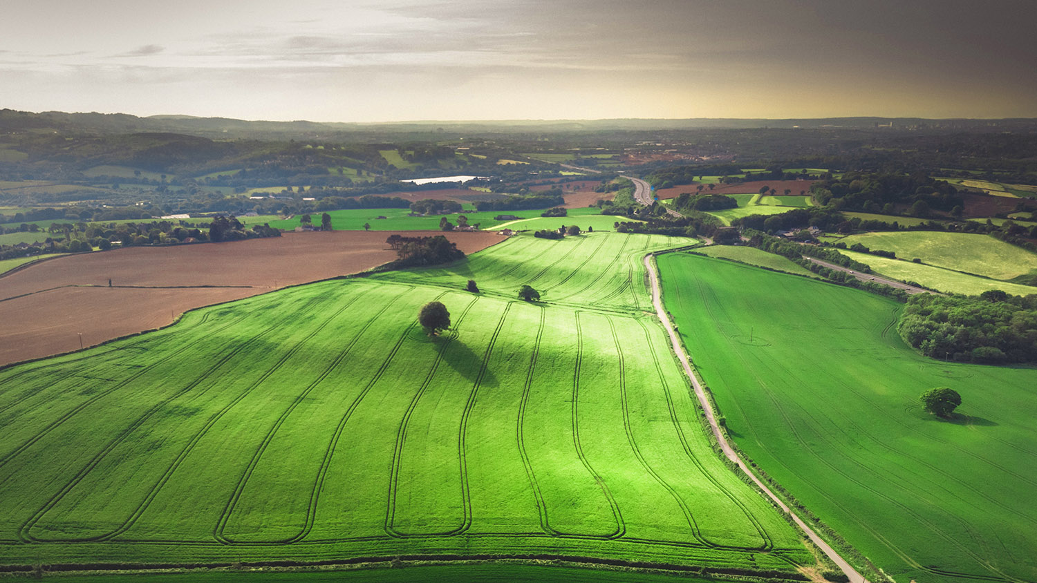 How to Turn Your Land into Profit Propy Blog